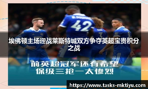 埃佛顿主场迎战莱斯特城双方争夺英超宝贵积分之战